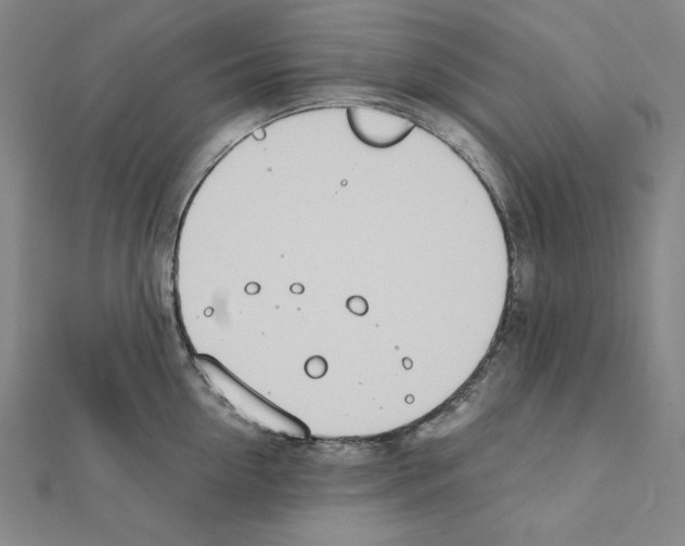 X0000111430954200908241118