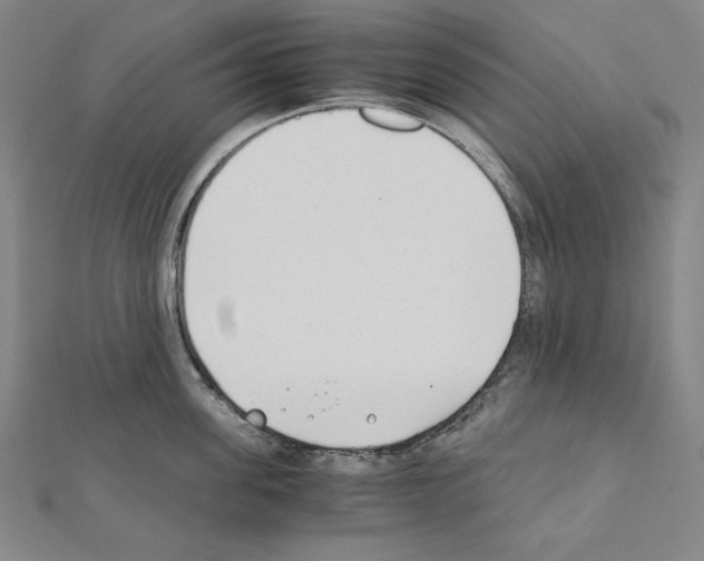 X0000111430955200908241118
