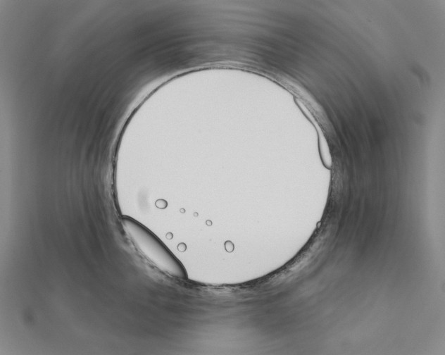 X0000111430956200908241119