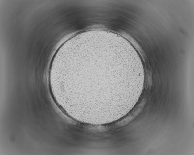X0000111430957200908241119