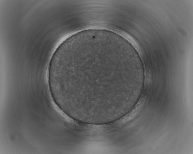 X0000111430958200908241119
