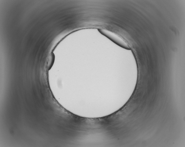 X0000111430960200908241119