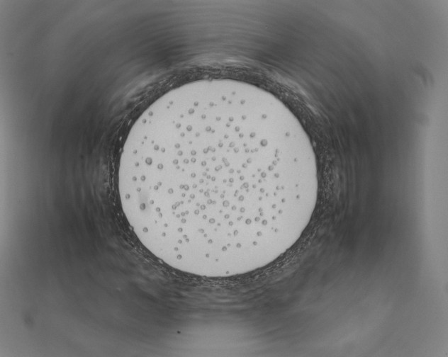 X0000111430966200908241118