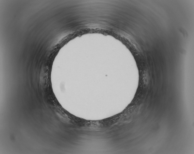 X0000111430968200908241118