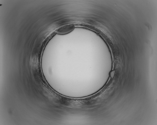 X0000111430969200908241118
