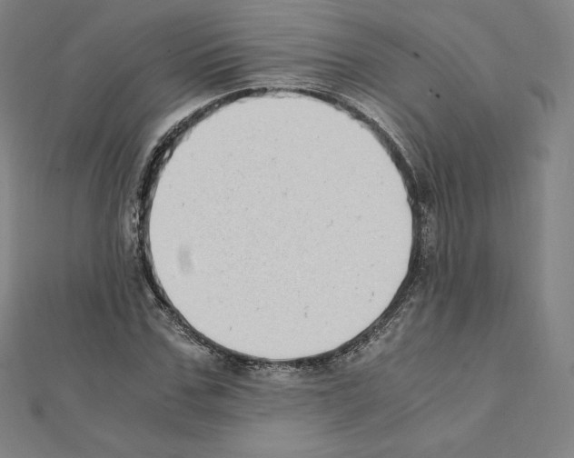 X0000111430971200908241118