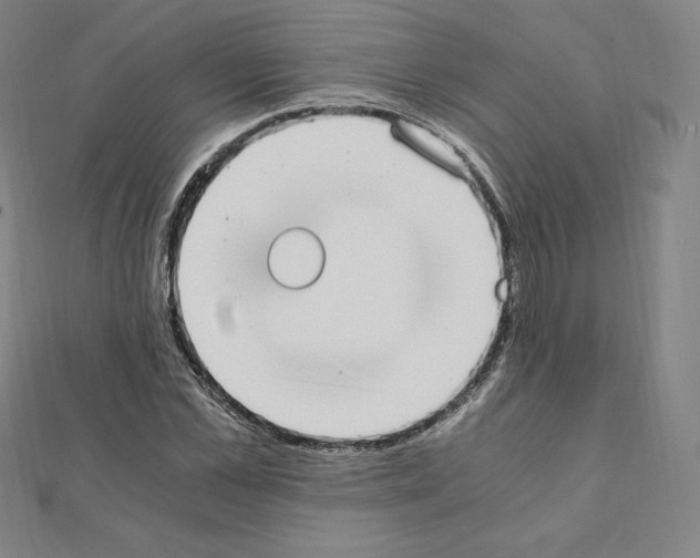 X0000111430973200908241118