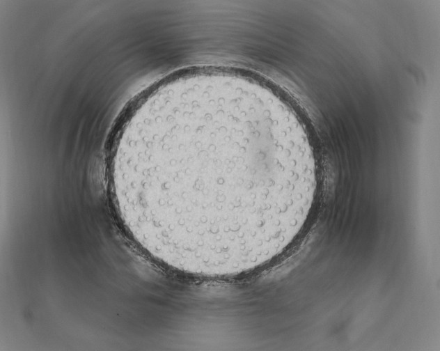 X0000111430974200908241118