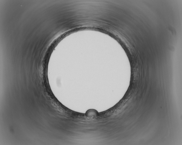 X0000111430975200908241118
