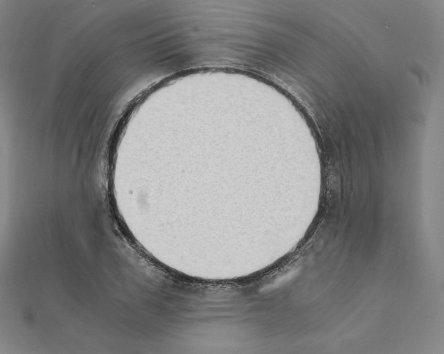 X0000111430979200908241118