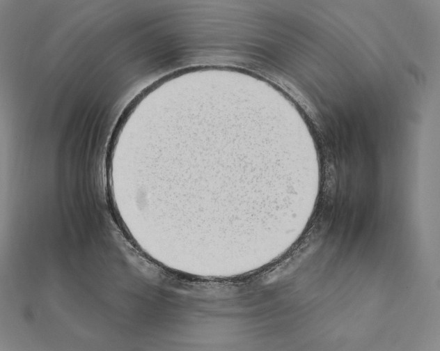 X0000111430980200908241118