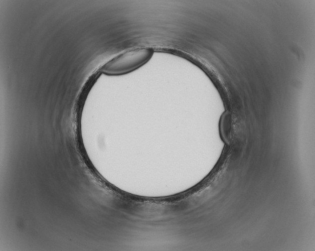 X0000111430981200908241118