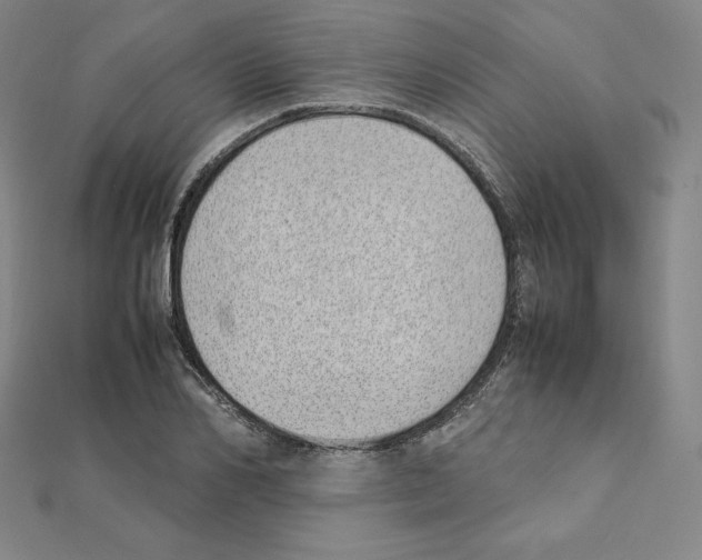 X0000111430982200908241118