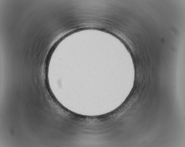 X0000111430983200908241118