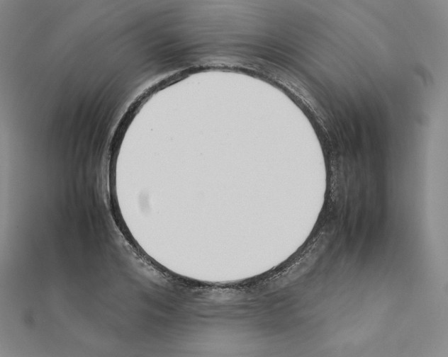 X0000111430984200908241118