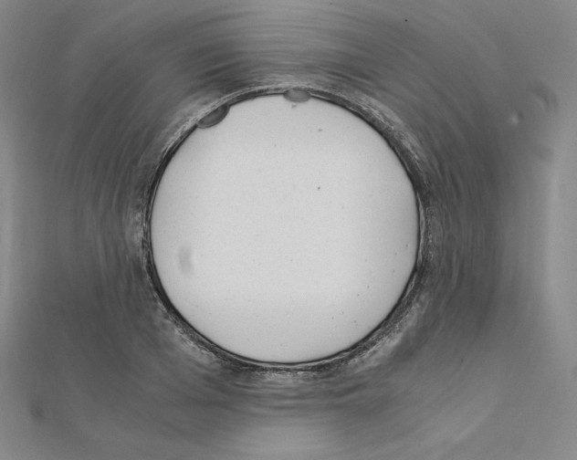X0000111430985200908241118