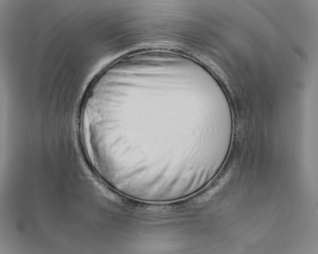 X0000111430989200908241118
