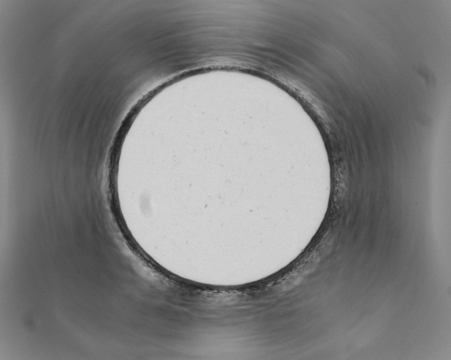 X0000111430991200908241118