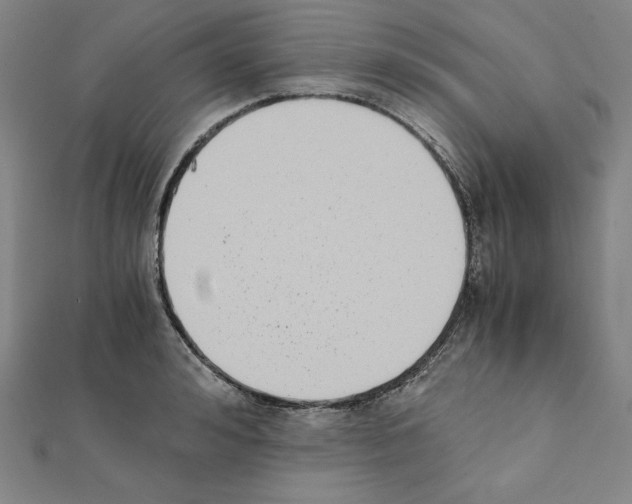 X0000111430992200908241118