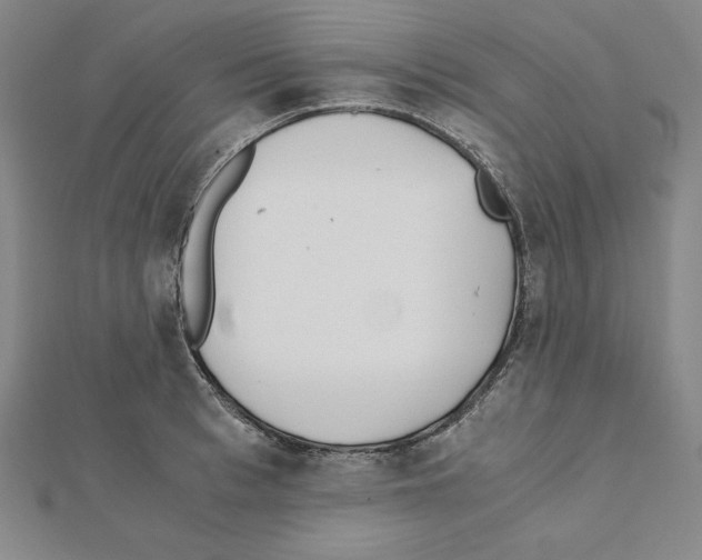 X0000111430993200908241118