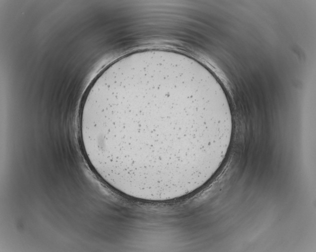 X0000111430994200908241118