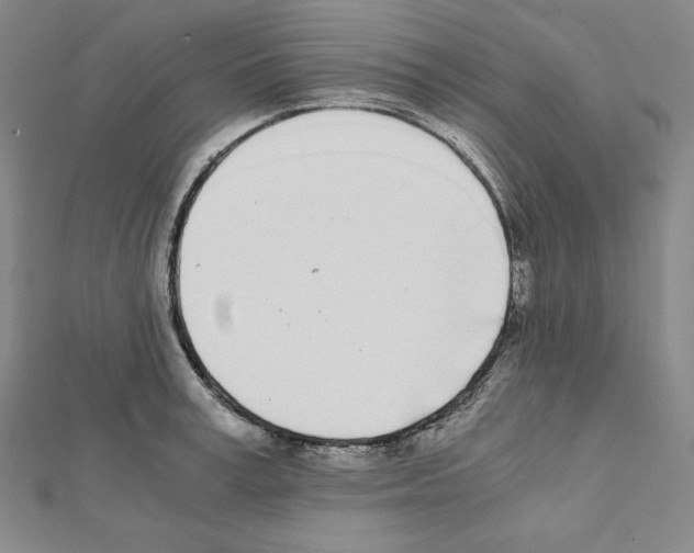 X0000111430995200908241118