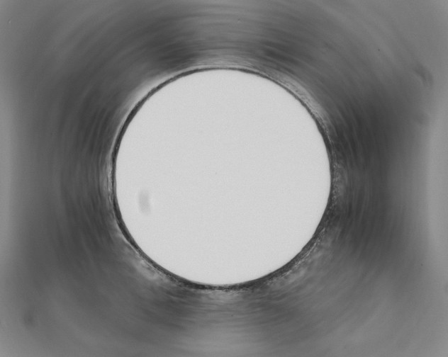 X0000111430996200908241117