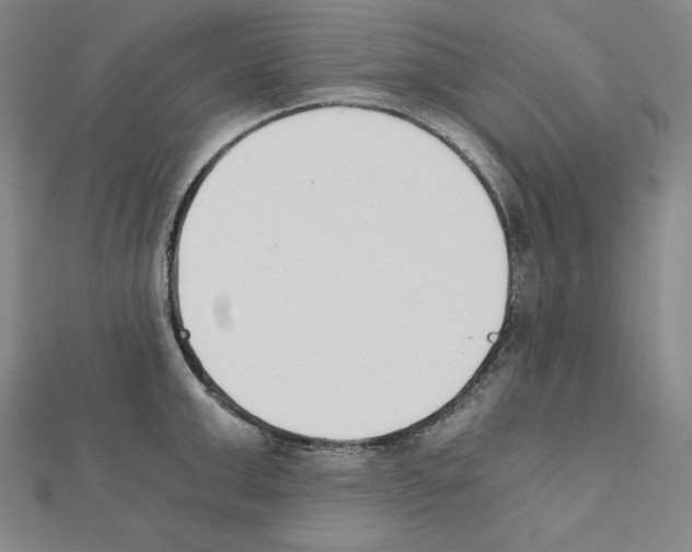 X0000111430999200908241117