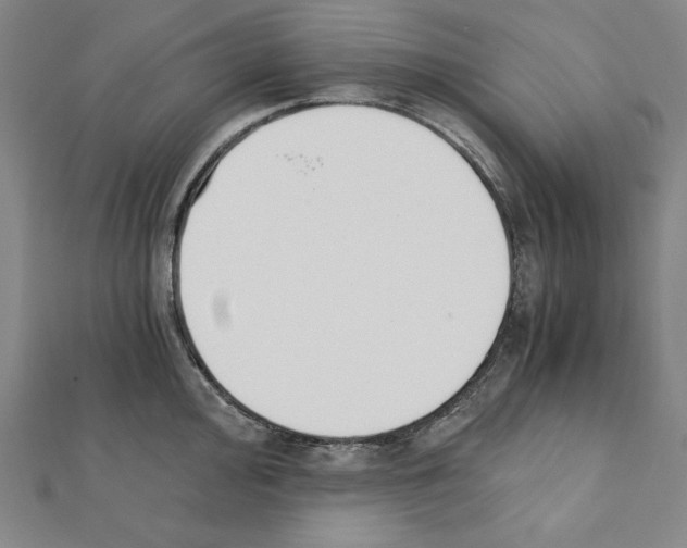 X0000111431000200908241117