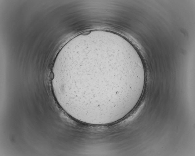X0000111431001200908241117