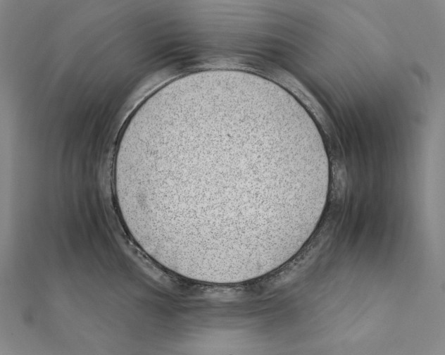 X0000111431002200908241117