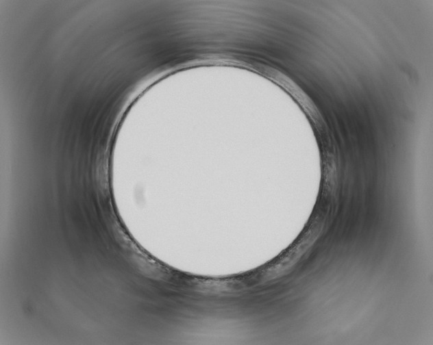 X0000111431004200908241117