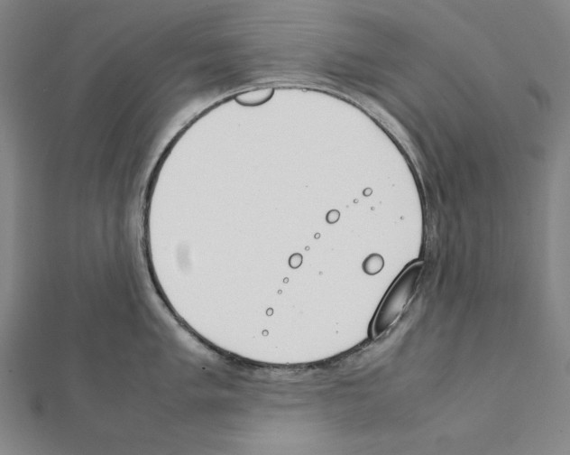 X0000111431005200908241117