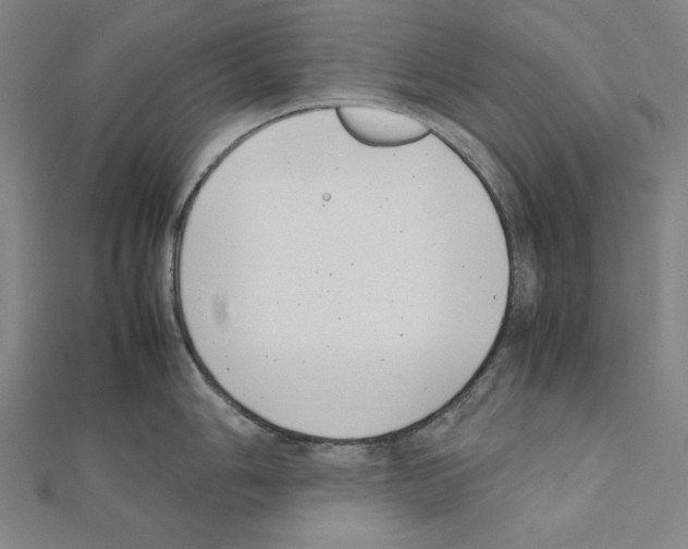 X0000111431006200908241117