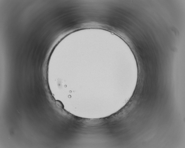 X0000111431008200908241117