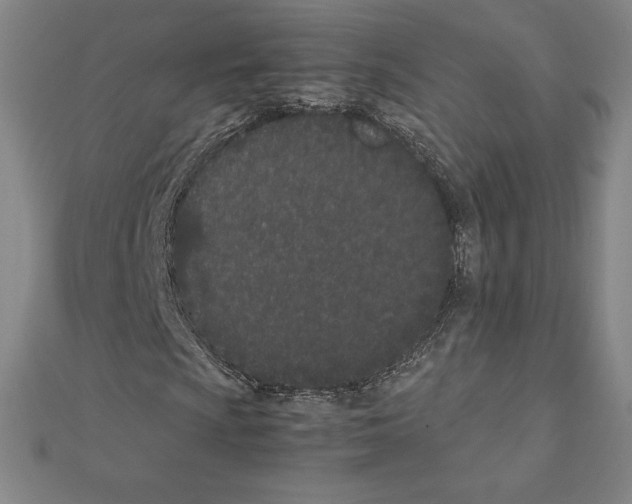 X0000111431009200908241117