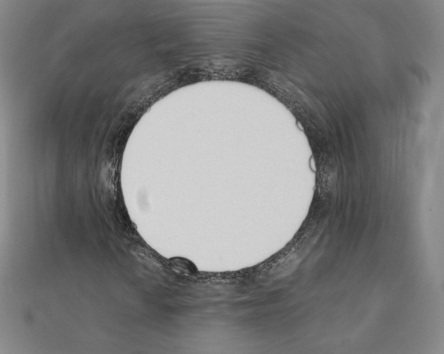 X0000111431010200908241117