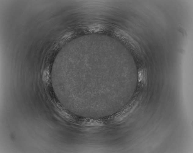 X0000111431011200908241117