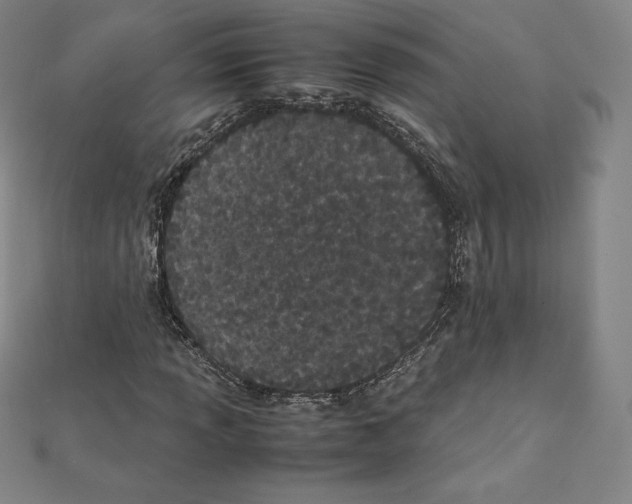X0000111431013200908241117