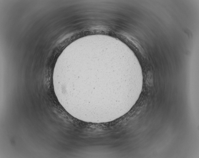 X0000111431015200908241117