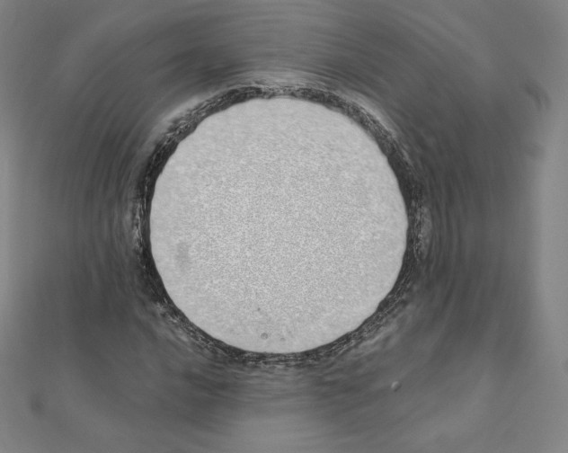 X0000111431016200908241117