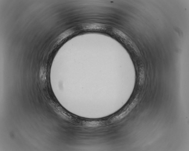 X0000111431017200908241117