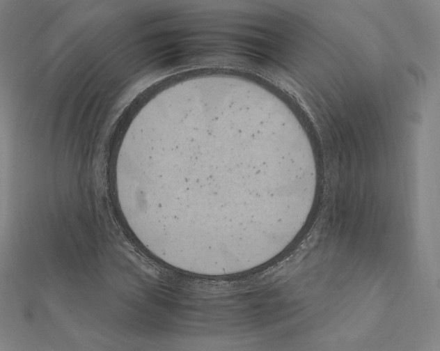 X0000111431019200908241117