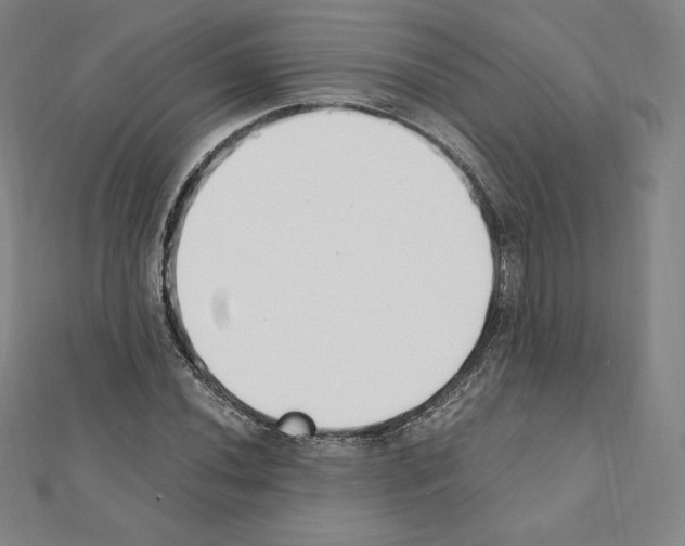 X0000111431020200908241117
