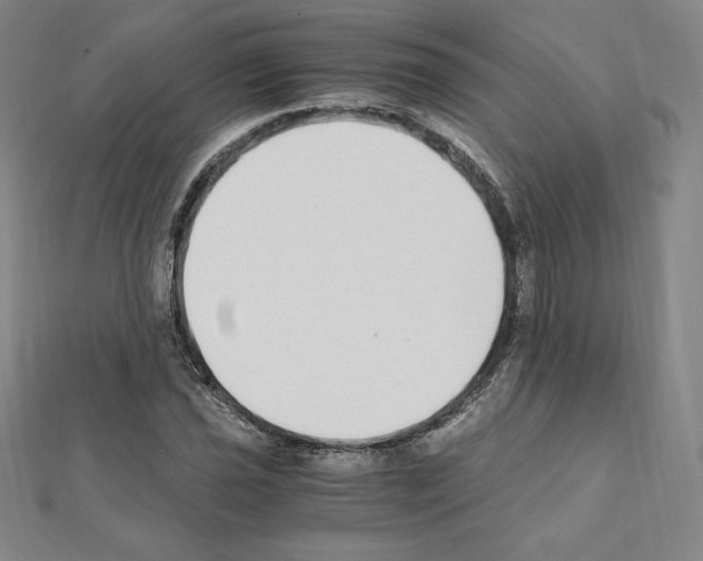 X0000111431021200908241117