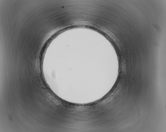 X0000111431022200908241117