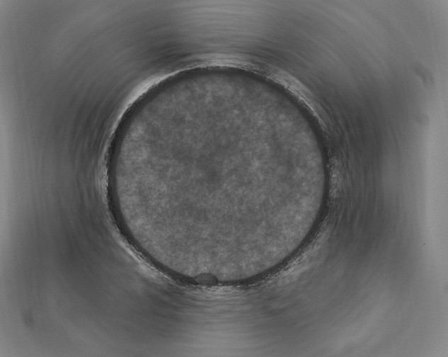 X0000111431024200908241117