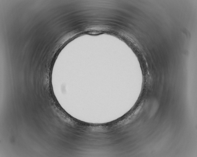 X0000111431025200908241117