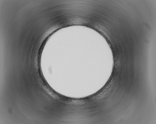 X0000111431026200908241117