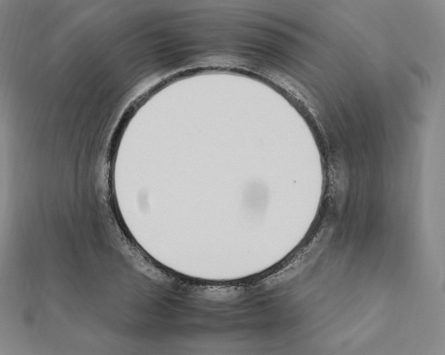 X0000111431029200908241117